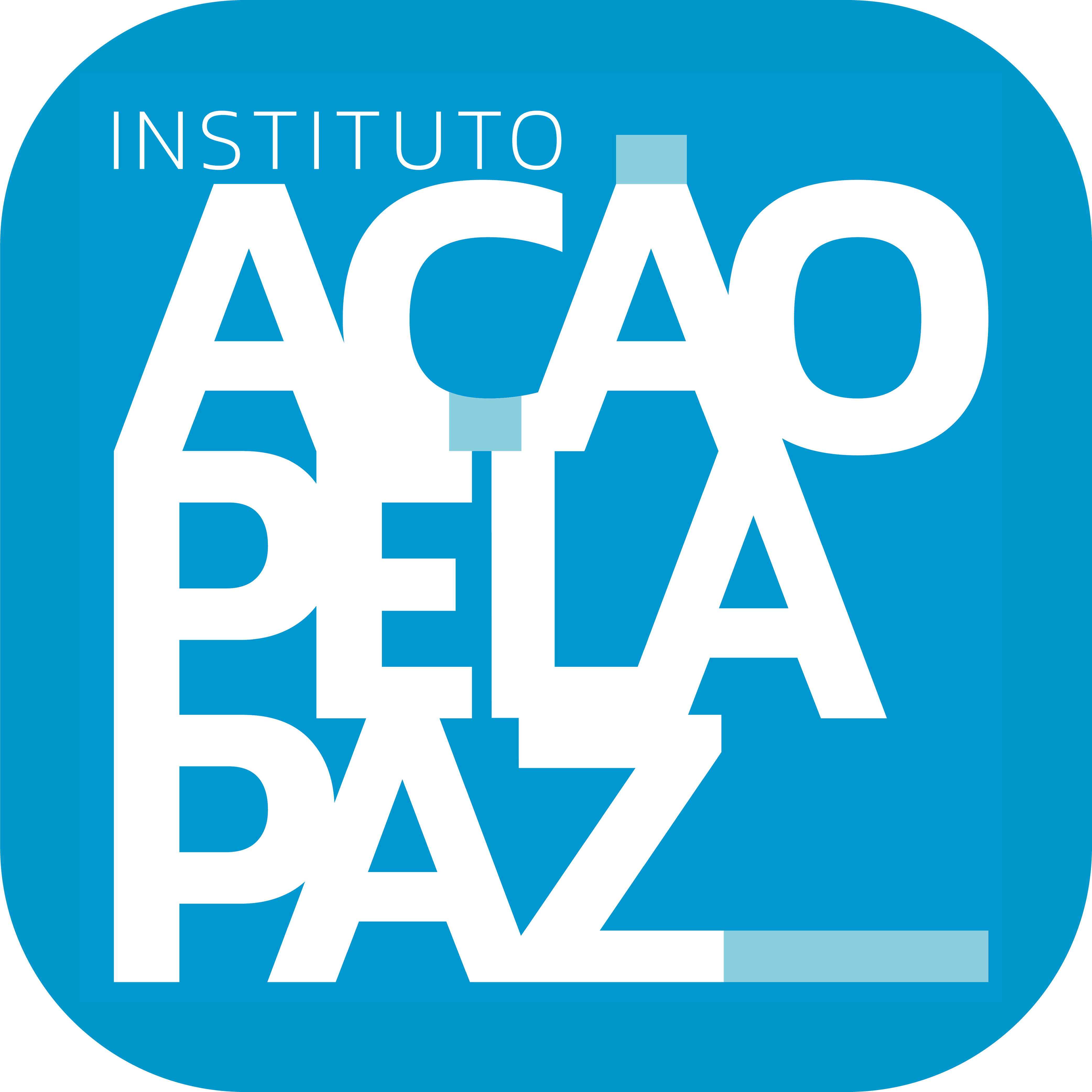Instituto Ação pela Paz